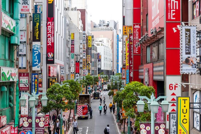 Full-day Immersive Private Tour in Tokyo