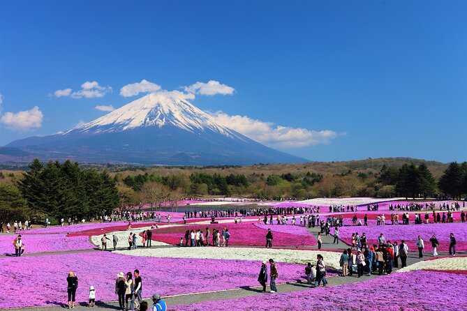 Mt. Fuji, Hakone Full-Day Private Tour with English Driver Guide