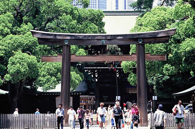Private Guided Half Day Walking Subway Tour in Tokyo