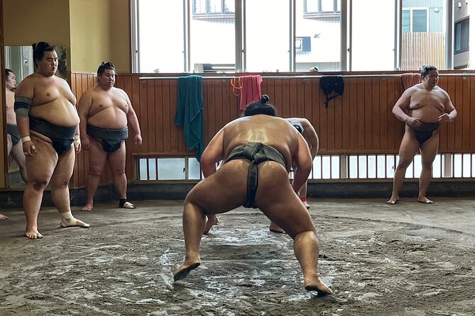 Tokyo Sumo Real Morning Practice Tour