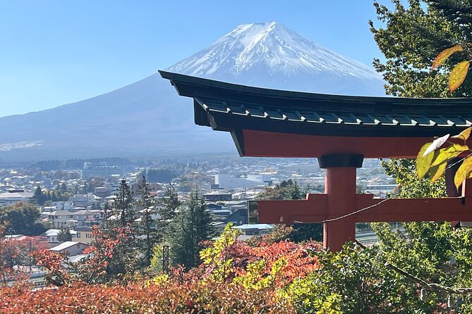 Mt. Fuji Private Sightseeing with Bilingual Chauffeur