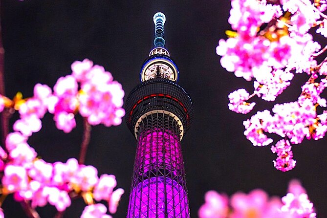 1-Day Private Tokyo Sightseeing Tour with Guide