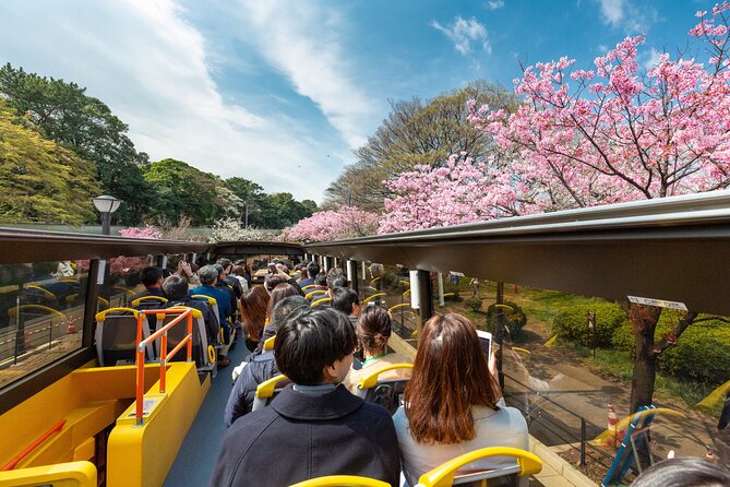 Tokyo: 70 min. Open Top Sightseeing Bus -City & Bay & Expressway