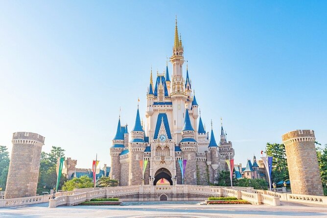 1 Day Ticket to Tokyo Disneyland with Private Transfer