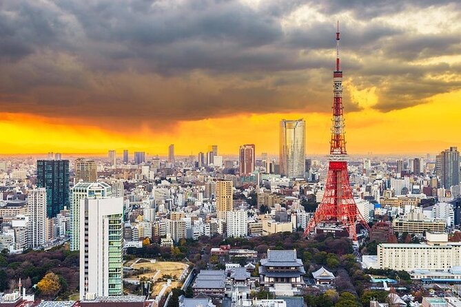 1 Day Tokyo Private Tour with English & Hindi Speaking Driver