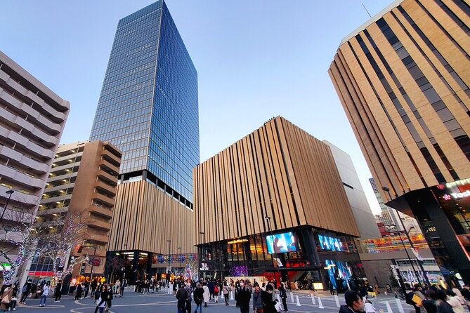 Full Day Tokyo Personalized Private Sightseeing w/English Driver