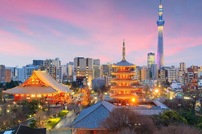 1 Day Private Tokyo Tour with English Speaking Driver