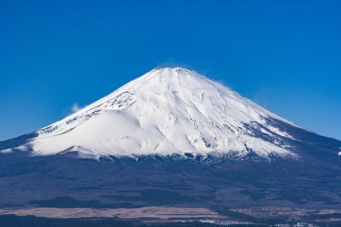 Private Tour to Mt Fuji, Lake Kawaguchi with Limousine and Driver