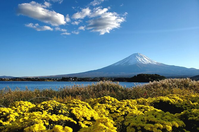 Full Day Mount Fuji Private Tour with English Speaking Guide