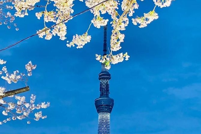 1 Day Private Charter Tokyo Sight Seeing Tour with guide