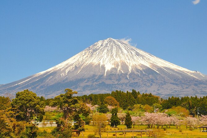 Tokyo: Mt. Fuji 5th Station, Lake kawaguchi and Gotemba Outlets