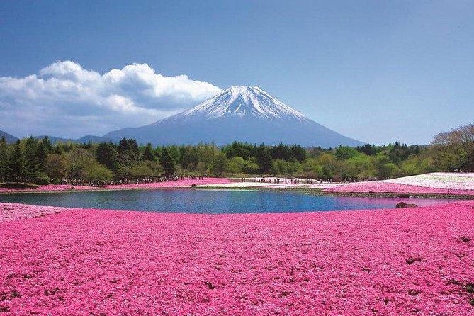 Mt. Fuji Flower Festival Tour with Ropeway Experience from Tokyo