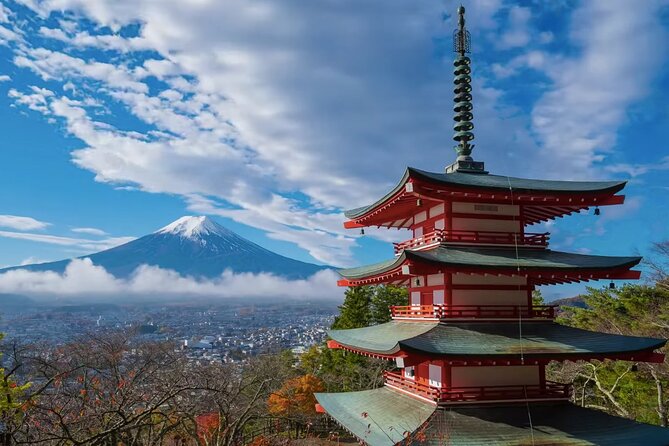 From Tokyo: Mt. Fuji Sightseeing Private Tour with English Guide