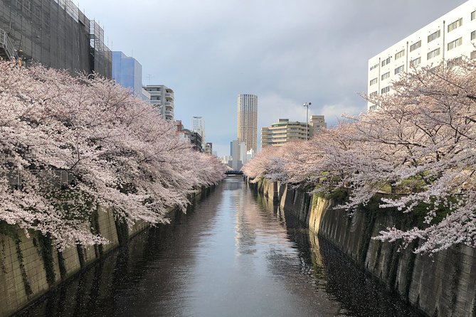 Tokyo Food Tour: An afternoon in Nakameguro!