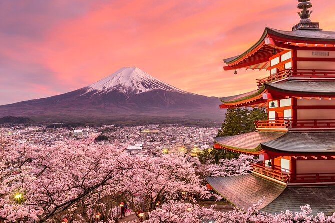Mount Fuji Private Tour by car – English speaking driver