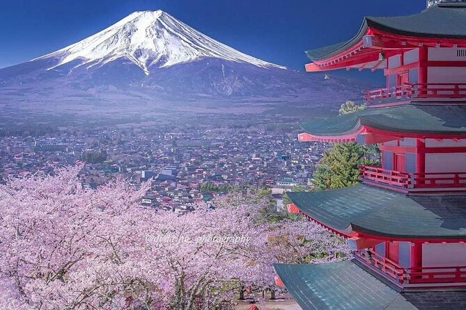 Cherry Blossom Mt. Fuji & Hakone Pvt. Day Tour with Pick & Drop.