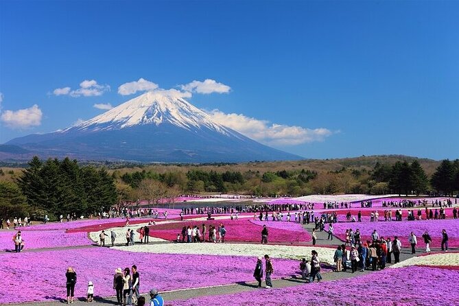 1 Day Tour Mt Fuji,Lake Kawaguchiko with English Speaking Guide