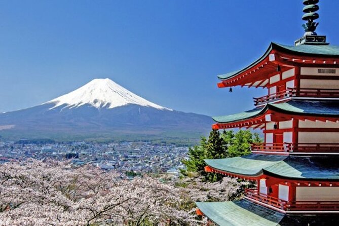 Best Price for 2-6 people! Mt Fuji & Natural Water Private Tour