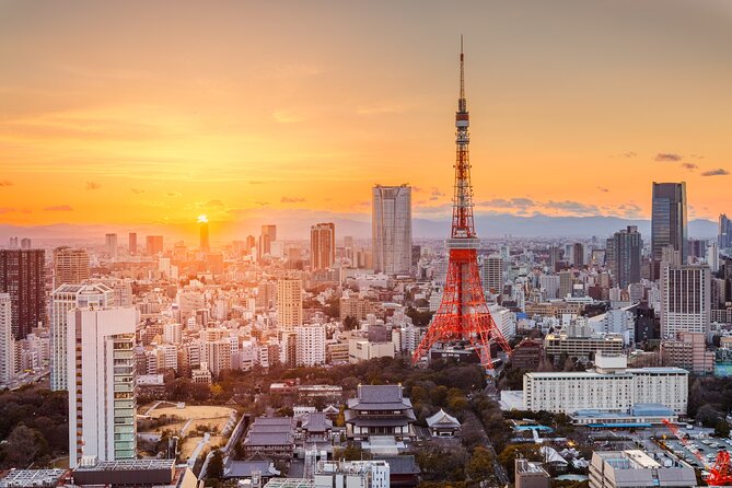 2 Day Mount Fuji and Tokyo Tour by Private Car or Wagon
